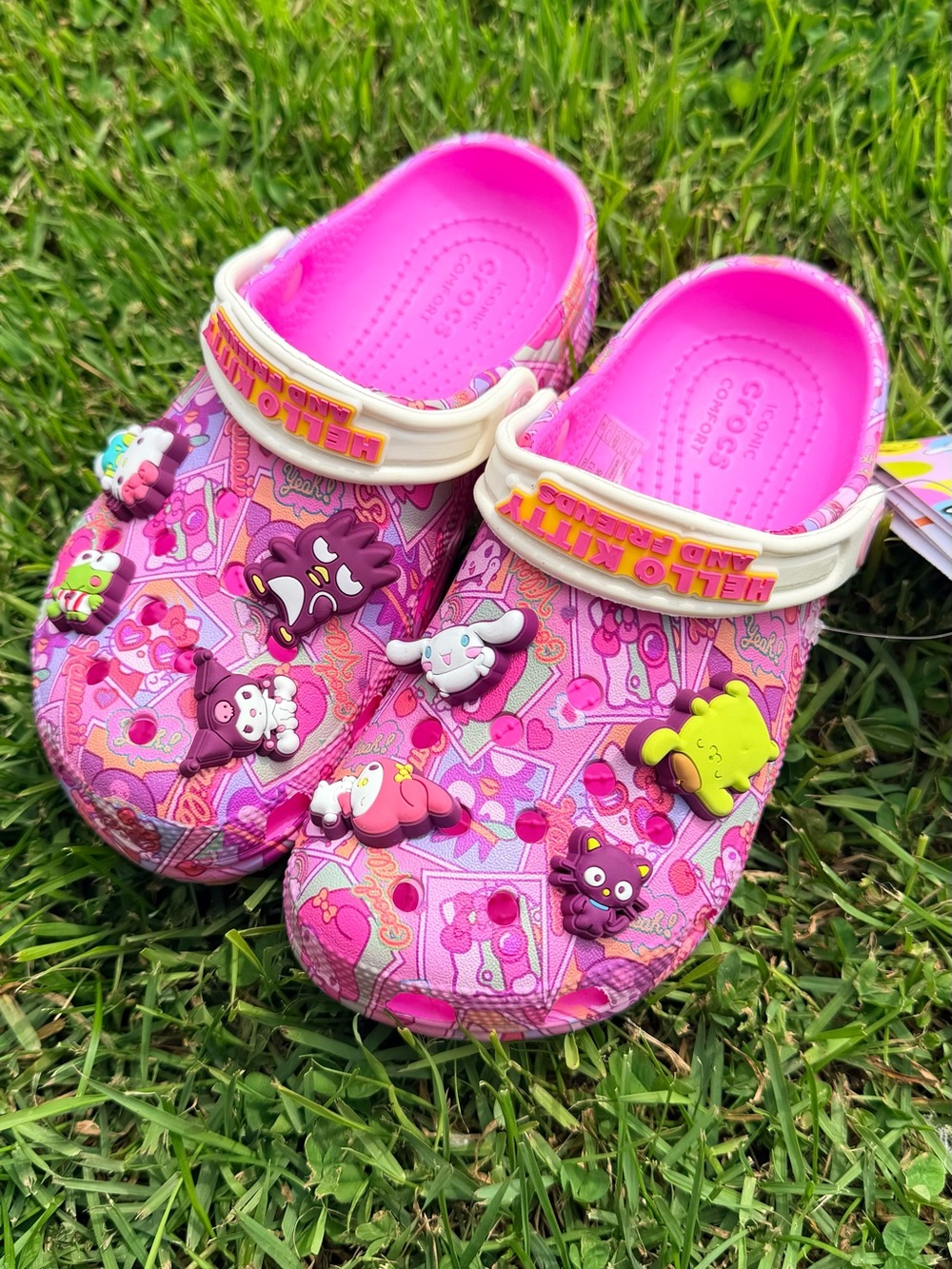 Hello Kitty Bright Pink Kids Clogs with Character Charms